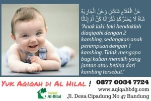 Aqiqah Anak Perempuan Yang Sesuai Dengan Ketentuan Syariat Islam