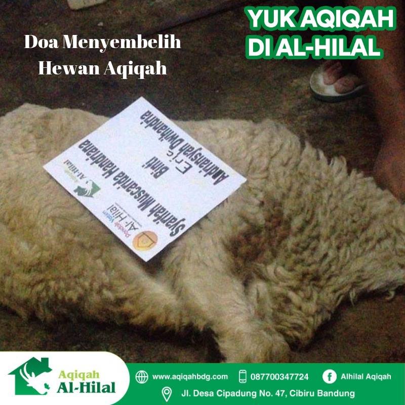 Doa Menyembelih Hewan Aqiqah