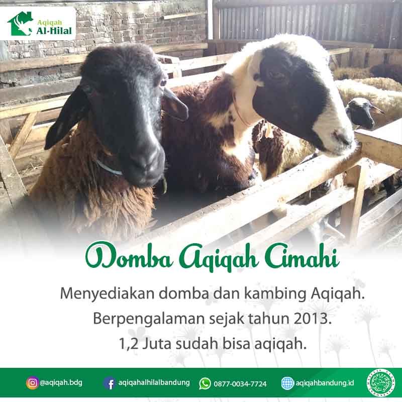 rumah aqiqah cimahi, dapur aqiqah, paket aqiqah cimahi
